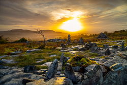 autumn,fahee,golden,hills,lone tree,mist,october,portfolio,prayer,stone,sunrise