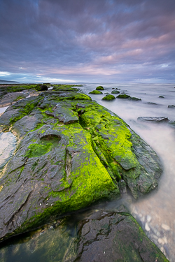 august,fanore,green algae,long exposure,summer,sunrise,coast