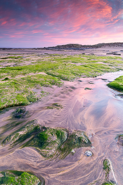 april,fanore,green algae,pink,spring,sunrise,coast