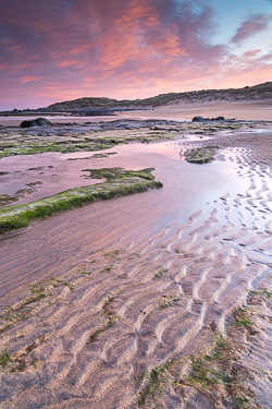 april,fanore,pink,sand ripples,spring,sunrise,coast