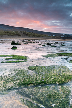 december,fanore,green algae,pink,sunrise,winter,coast,beach