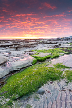 april,gleninagh,green algae,pink,sand ripples,spring,sunrise,coast,ballyvaughan