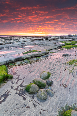 april,gleninagh,green algae,pink,sand ripples,spring,sunrise,coast,ballyvaughan