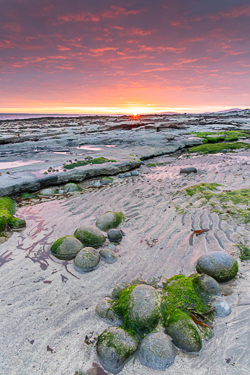 april,gleninagh,green algae,pink,sand ripples,spring,sunrise,coast,ballyvaughan