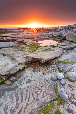 april,gleninagh,green algae,orange,sand ripples,spring,sunrise,sunstar,portfolio,coast,ballyvaughan