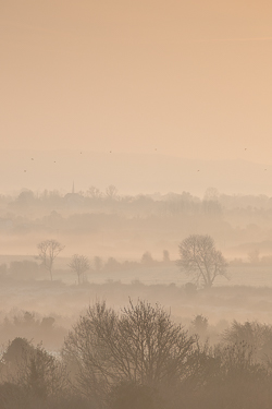 drama,gort,lowlands,march,mist,spring,sunrise