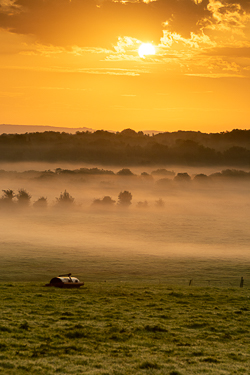 golden,gort,mist,rural,september,summer,sunrise,golden,lowland