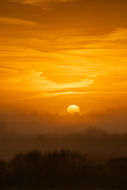 autumn,golden,gort,lowland,mist,november,orange,sunrise