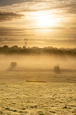 autumn,golden,gort,september,sunrise,mist,lowland