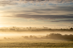 autumn,golden,gort,september,sunrise,mist,lowland