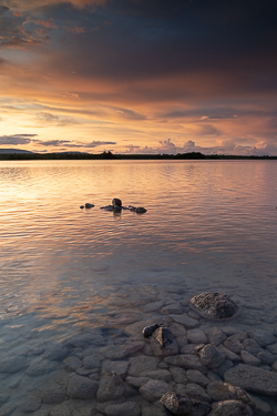 dusk,june,lough bunny,spring,lowland,golden