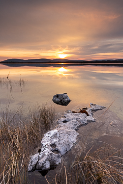 april,golden,lough bunny,reflections,spring,sunset,portfolio,lowland