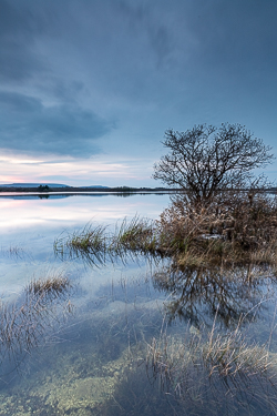 april,dusk,lough bunny,reflections,spring,blue,lowland