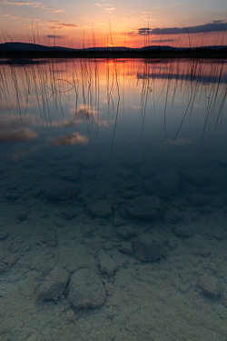 dusk,lough bunny,may,reflections,spring,lowland