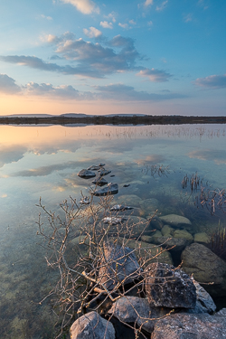 lough bunny,march,spring,sunset,lowland,golden hour,blue