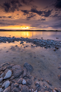 dusk,june,lough bunny,spring,lowland