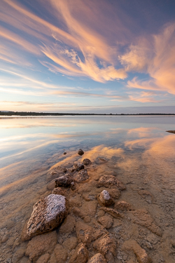 golden hour,july,lough bunny,pink,summer,sunset,lowland