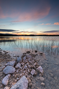 dusk,july,lough bunny,pink,summer,sunset,lowland