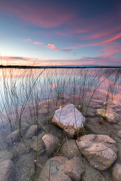 dusk,july,lough bunny,pink,summer,sunset,lowland