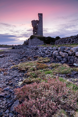 april,landmark,limited,muckinish,pink,spring,twilight,portfolio,tower,coast