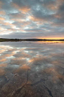 january,mullaghmore,sunset,winter,park,golden