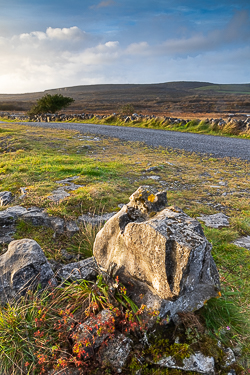 mullaghmore,october,winter,park,golden