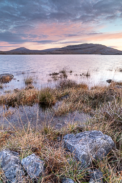 sunrise,autumn,december,mullaghmore,pink,park