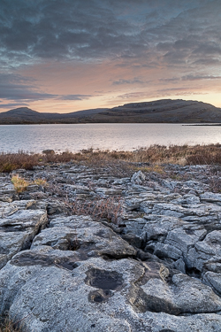 sunrise,autumn,december,mullaghmore,park