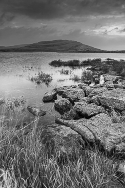 autumn,monochrome,mullaghmore,november,park