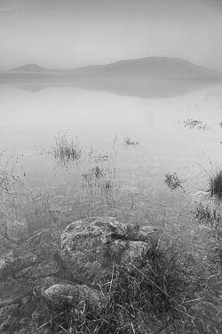 autumn,december,minimal,mist,monochrome,mullaghmore,park