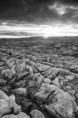 january,monochrome,mullaghmore,park,sunset,winter