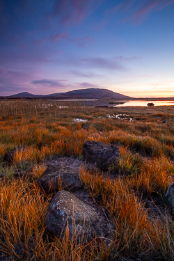 autumn,mullaghmore,october,park,twilight