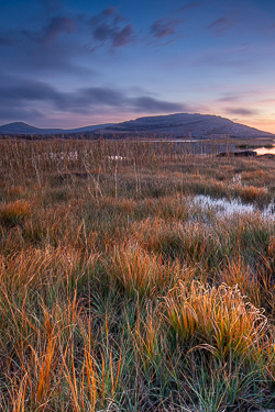 autumn,mullaghmore,october,park,twilight