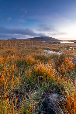 autumn,golden,mullaghmore,october,park,twilight