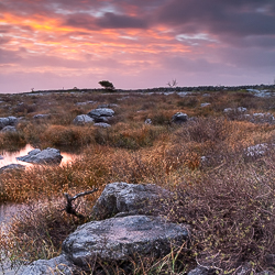 long exposure,mullaghmore,november,park,pink,square,sunrise,winter