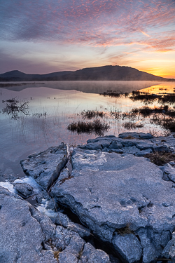 april,park,mullaghmore,mist,reflections,spring,sunrise,portfolio