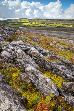 autumn,mullaghmore,september,october,park