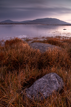 autumn,december,long exposure,mullaghmore,twilight,park