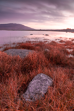 autumn,december,long exposure,mullaghmore,twilight,park,dreamy