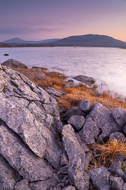 autumn,december,long exposure,mullaghmore,twilight,dreamy,park