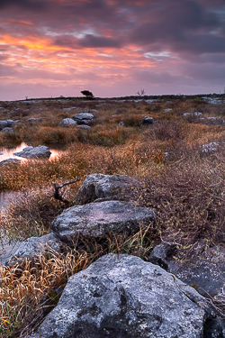 limited,long exposure,mullaghmore,november,pink,sunrise,winter,portfolio,park