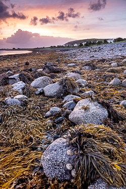 long exposure,new quay,september,summer,sunrise,coast