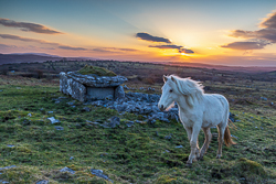 animal,february,golden hour,horse,parknabinnia,roughan,sunset,winter,hills