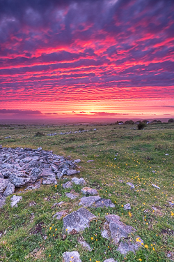 dusk,june,landmark,parknabinnia,pink,purple,roughan,spring,sunset,hills