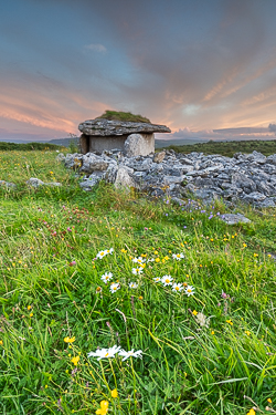 august,flower,parknabinnia,pink,summer,sunset,tomb,hills