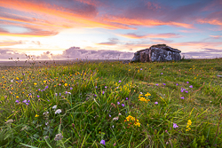 august,flower,parknabinnia,pink,summer,sunset,tomb,portfolio,hills