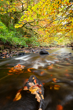 autumn,long exposure,lowlands,october,pick-lowland,river,monthly-pick,portfolio