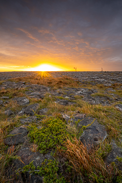 autumn,golden,lowlands,october,pick-lowland,sunrise,sunstar