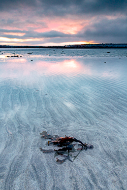 aughinish,january,long exposure,pink,sand ripples,sunrise,winter,coast
