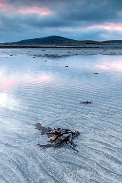 aughinish,january,long exposure,pink,sand ripples,sunrise,winter,coast
